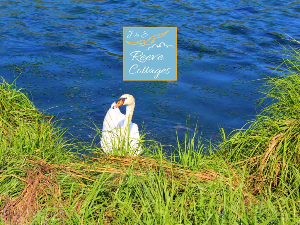Premier Waterfront Cottage 2 Riverhead Dış mekan fotoğraf